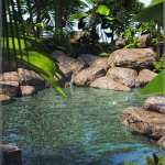 Lagoon Pool Lagoon Pool