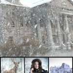 Iray Winter Light Kit Iray Winter Light Kit