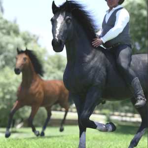 DA Daz Horse 3 Base Material Set DA Daz Horse 3 Base Material Set