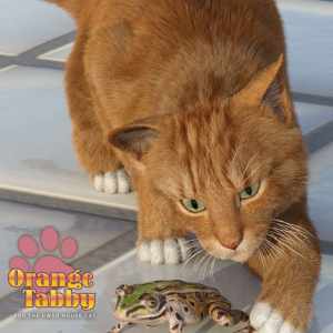 CWRW Orange Tabby for the HW House Cat CWRW Orange Tabby for the HW House Cat