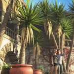 Predatron Yucca Spanish Bayonet Trees Predatron Yucca Spanish Bayonet Trees