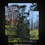 UltraScenery – Swamp UltraScenery – Swamp