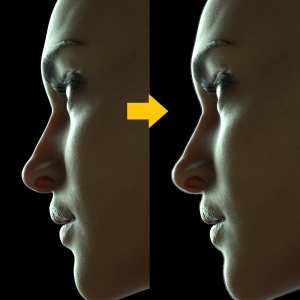 Iray Vellus Horizon Shader System for Genesis 8 Female Iray Vellus Horizon Shader System for Genesis 8 Female