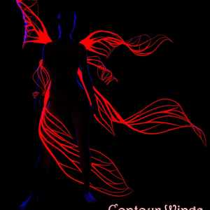 Contour Wings Ariel Contour Wings Ariel