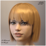 SD Hair for Genesis 8 Female SD Hair for Genesis 8 Female