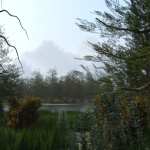 The Lake Forest The Lake Forest