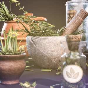 Crafting Herbs Crafting Herbs