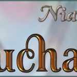 Touchable Nian Touchable Nian