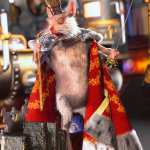 dForce Mouse King Cape and Accessories for Genesis 8.1 Males dForce Mouse King Cape and Accessories for Genesis 8.1 Males