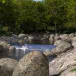 My Creek My Creek