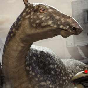 Tapirdary for Daz Horse 3 Tapirdary for Daz Horse 3