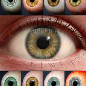 Project Eyeris – Genesis 9 Materials and Merchant Resource Project Eyeris – Genesis 9 Materials and Merchant Resource