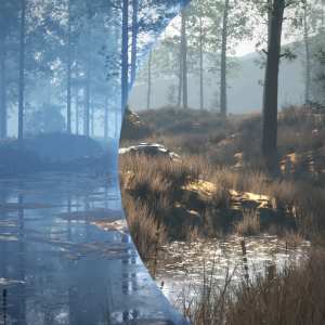Mega Terrain: Swampland Mega Terrain: Swampland