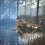 Mega Terrain: Swampland Mega Terrain: Swampland