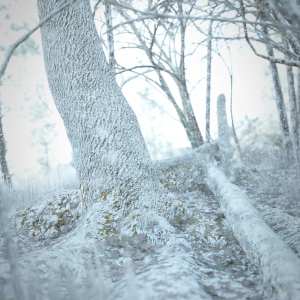 Fall Woods Vignette Winter Add-On Fall Woods Vignette Winter Add-On