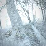 Fall Woods Vignette Winter Add-On Fall Woods Vignette Winter Add-On