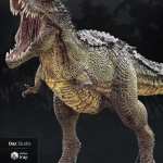 HH Gnasher HH Gnasher