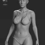 Rosa Maria 8.1 HD Add-On Rosa Maria 8.1 HD Add-On