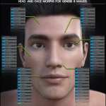 200 Plus Head and Face Morphs for Genesis 8 Male(s) (Updated 2021-04-19) 200 Plus Head and Face Morphs for Genesis 8 Male(s) (Updated 2021-04-19)