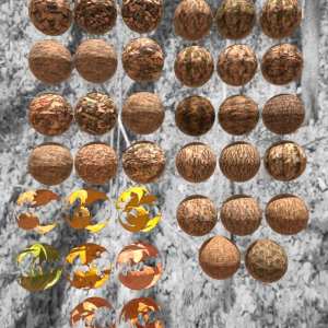 Fall Wood Textures Resources Fall Wood Textures Resources