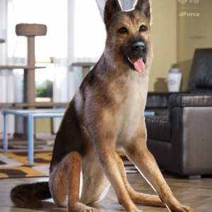 German Shepherd for Daz Dog 8 German Shepherd for Daz Dog 8