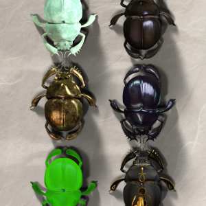 Egyptian Scarab Egyptian Scarab