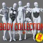 Body Collection G8.1F Body Collection G8.1F