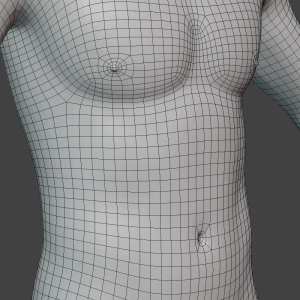 Geo-Grafting Navel and Nipples for Genesis 9 Geo-Grafting Navel and Nipples for Genesis 9