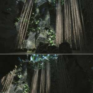 Jungle Pool Jungle Pool