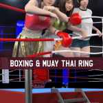 Boxing and Muay Thai Ring Boxing and Muay Thai Ring