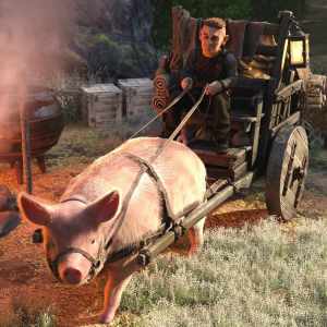 Pig Cart Pig Cart
