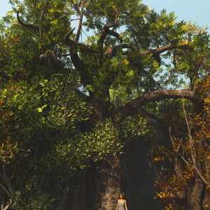 Hybrid Celtic Trees Hybrid Celtic Trees