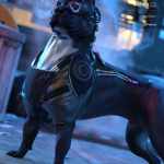 K92020 CyberPunk Armor and Custom Breed for Dog 8 K92020 CyberPunk Armor and Custom Breed for Dog 8