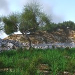 View of the Sea View of the Sea