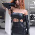 Next Level Outfit Genesis 8 and 8.1F Next Level Outfit Genesis 8 and 8.1F