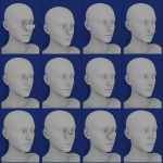 Nose Morphs for Genesis 8 Female Nose Morphs for Genesis 8 Female