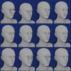 Nose Morphs for Genesis 8 Female Nose Morphs for Genesis 8 Female