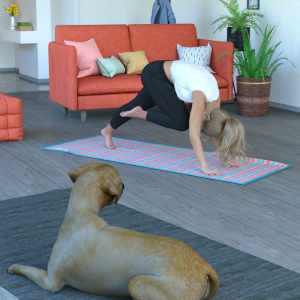 Everyday Yogi Poses for Genesis 8.1 Female Everyday Yogi Poses for Genesis 8.1 Female