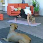 Everyday Yogi Poses for Genesis 8.1 Female Everyday Yogi Poses for Genesis 8.1 Female