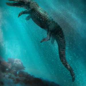 Iray Alligator by AM Iray Alligator by AM