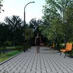 The Park Way The Park Way