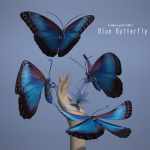 Blue Butterfly Blue Butterfly