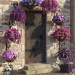 Hanging Baskets Hanging Baskets