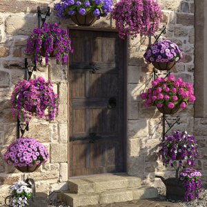 Hanging Baskets Hanging Baskets
