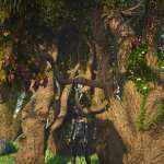 Exquisite Trees Exquisite Trees