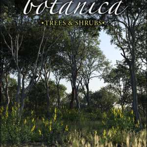 Australia Botanica – Trees and Shrubs Australia Botanica – Trees and Shrubs