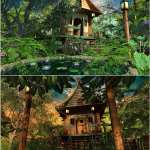 Tiny House and Parklands Tiny House and Parklands