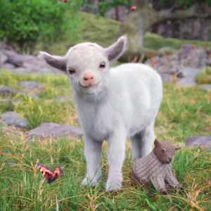 Popcorn the Goat Popcorn the Goat