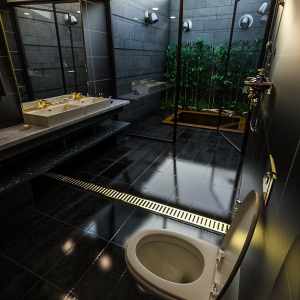 Skylight Bath Skylight Bath