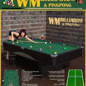 WM Billiards & PingPong WM Billiards & PingPong